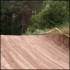 circuit_motocross55