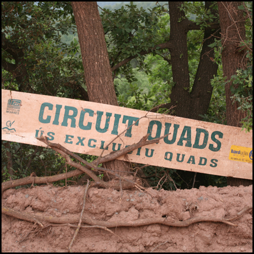 circuit_quads41